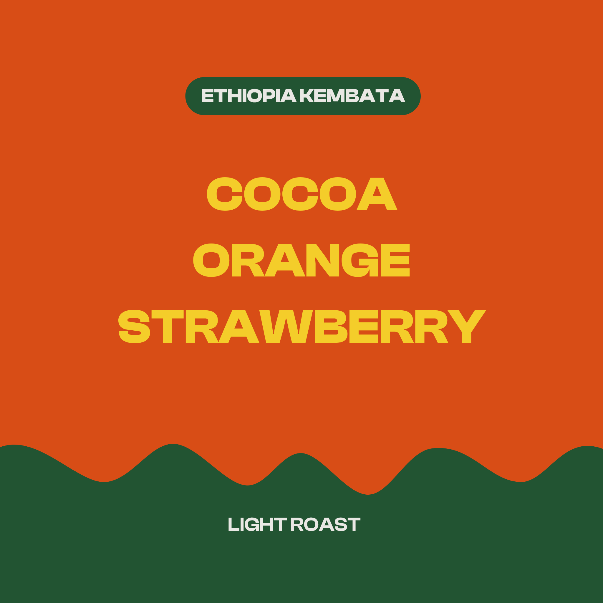 Ethiopia Kembata Natural
