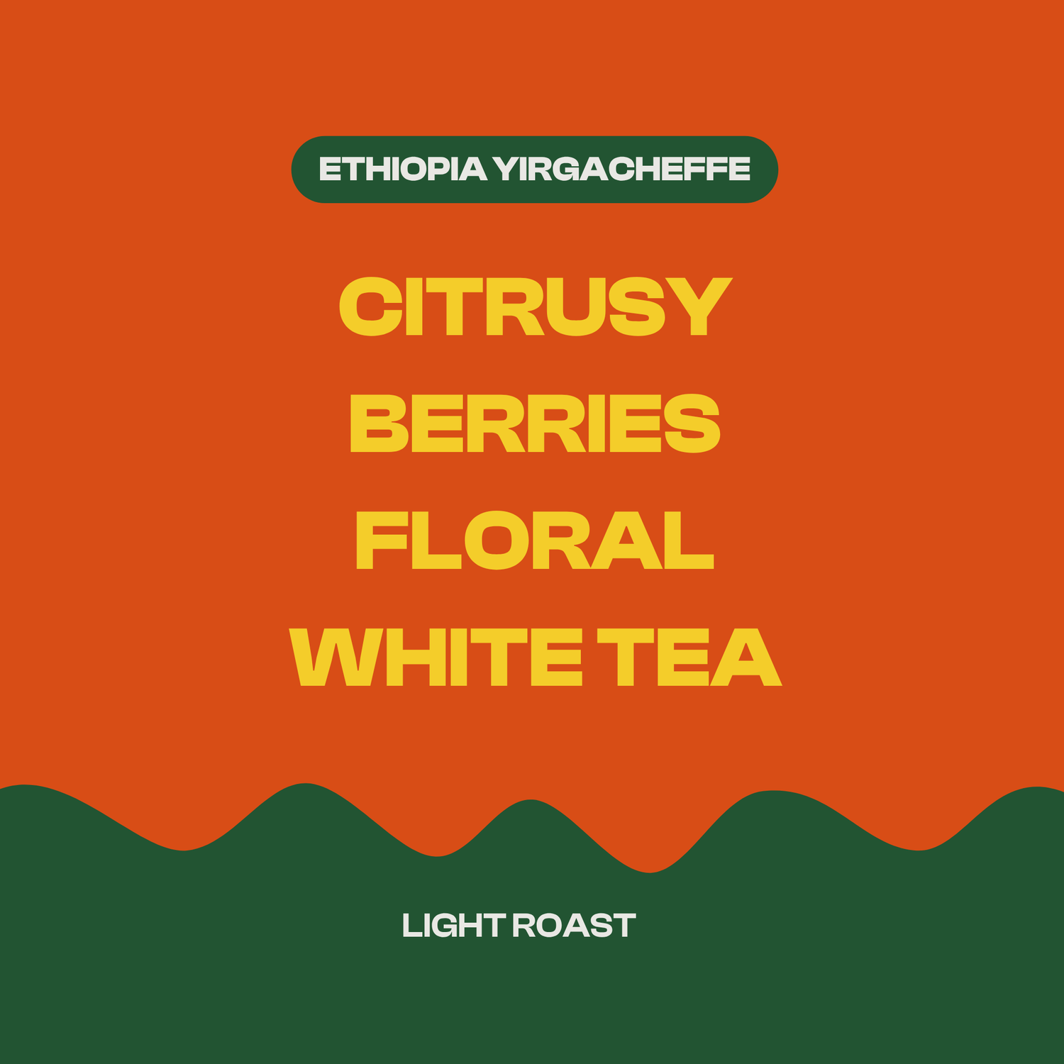 Ethiopia Yirgacheffe Hidden Grounds Coffee