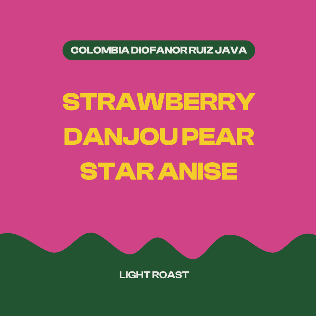 Colombia Diofanor Ruiz — La Divisa Java (Pre-Order)