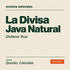 Hidden Grounds La Divisa Java Natural — Diofanor Ruiz, Quindío, Colombia